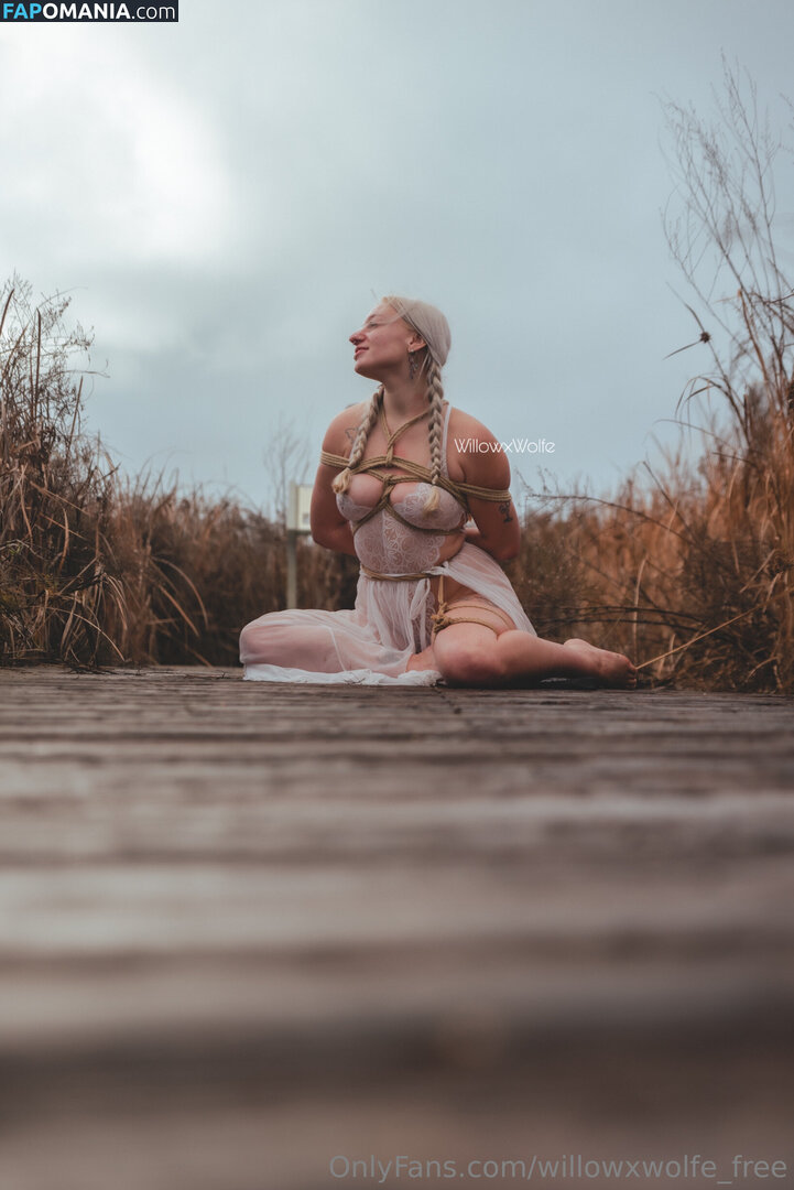 willowxwolfe / willowxwolfe_free ヌード OnlyFans  流出写真 #11