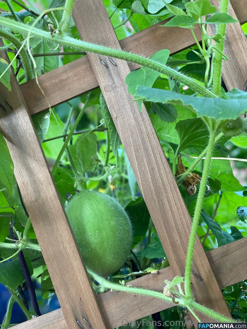 wolfofthewild / wolfofthewildd ヌード OnlyFans  流出写真 #8